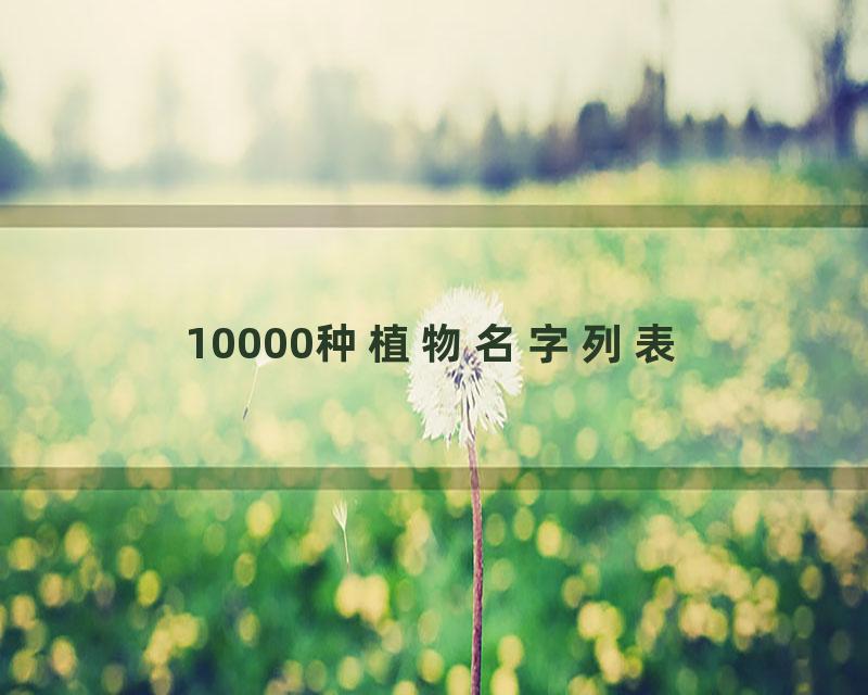 10000种植物名字列表