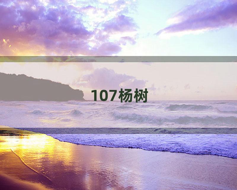 107杨树