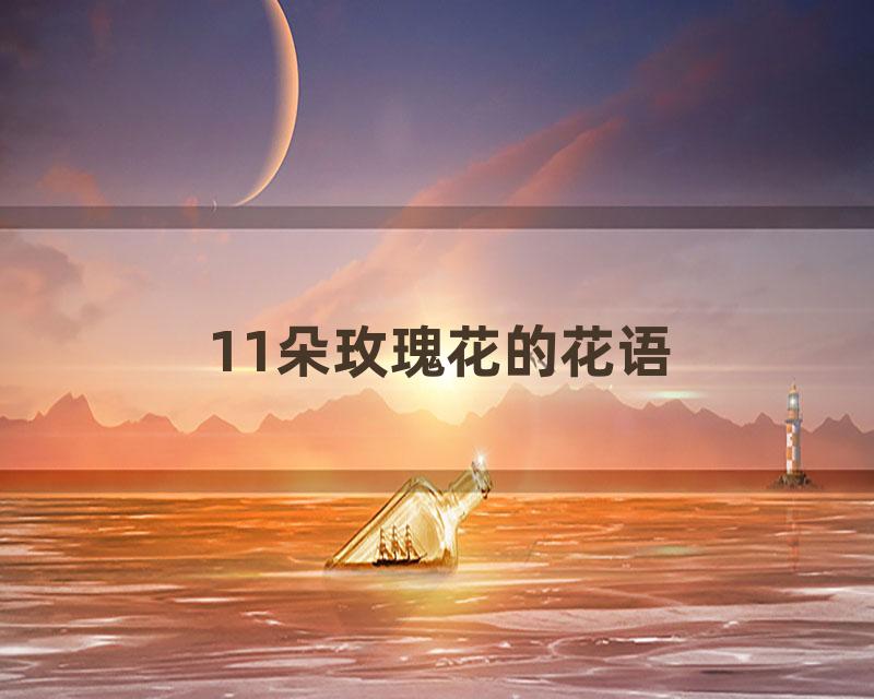 11朵玫瑰花的花语