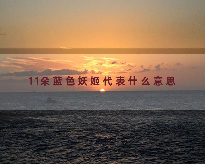 11朵蓝色妖姬代表什么意思