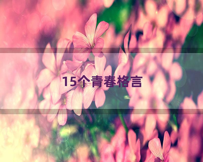 15个青春格言