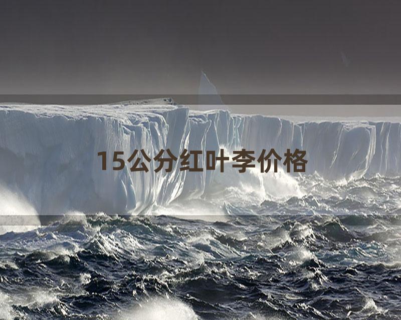 15公分红叶李价格