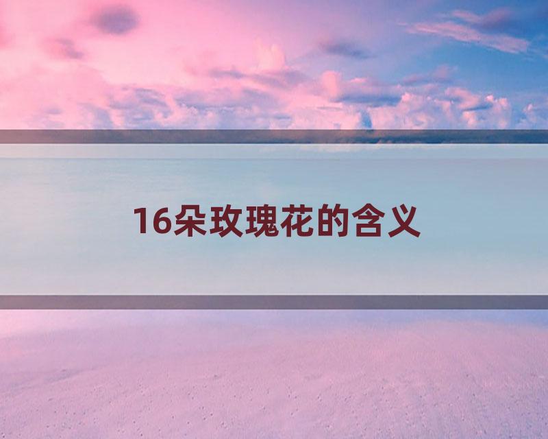 16朵玫瑰花的含义