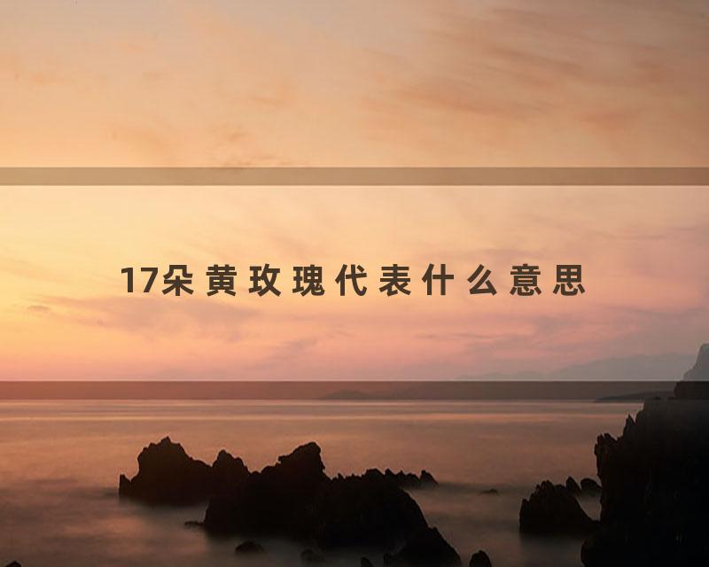 17朵黄玫瑰代表什么意思