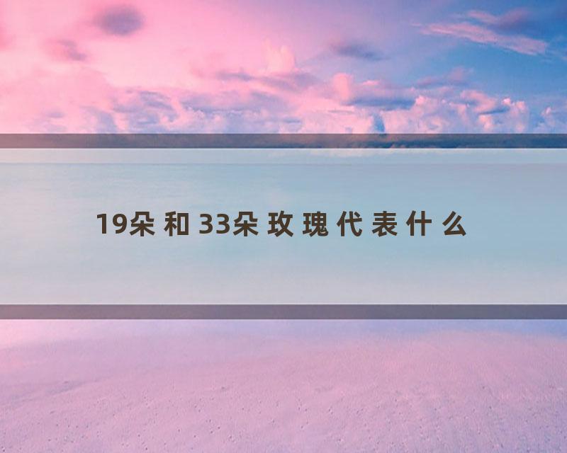 19朵和33朵玫瑰代表什么