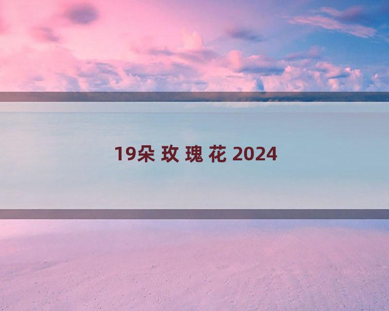19朵玫瑰花2024