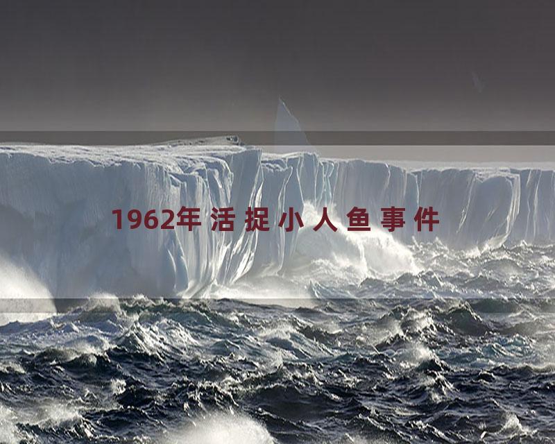 1962年活捉小人鱼事件