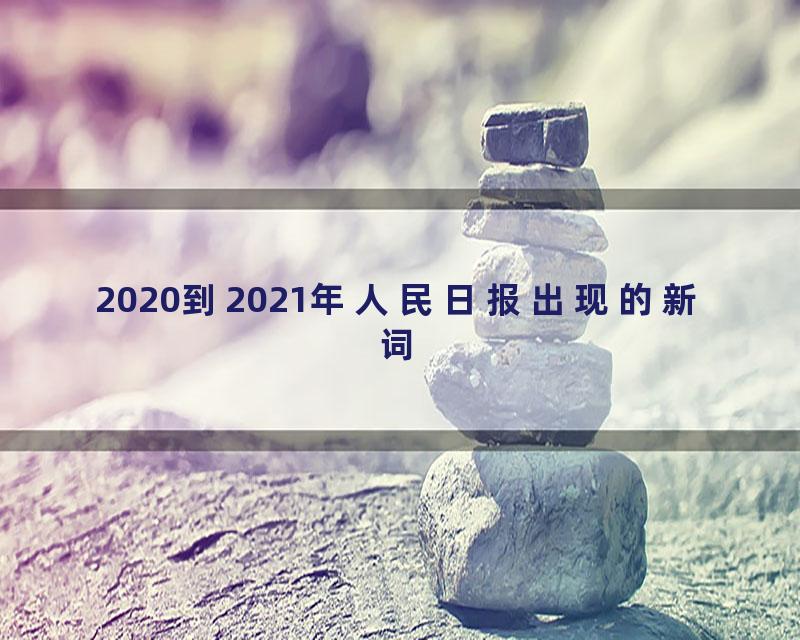 2020到2021年人民日报出现的新词