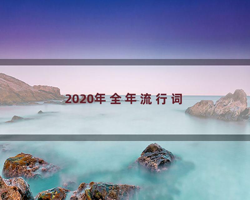 2020年全年流行词