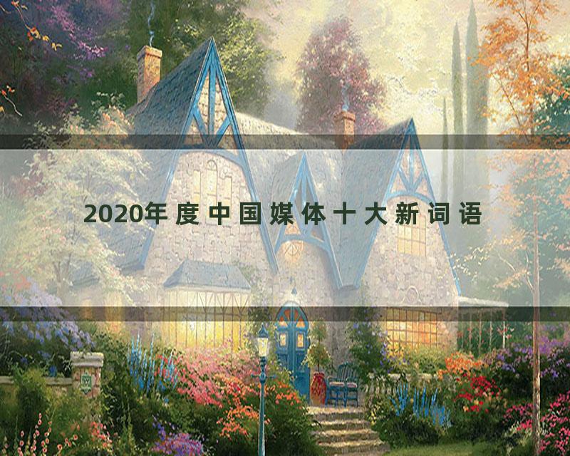 2020年度中国媒体十大新词语