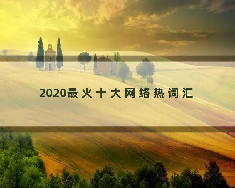 2020最火十大网络热词汇