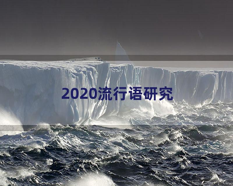 2020流行语研究