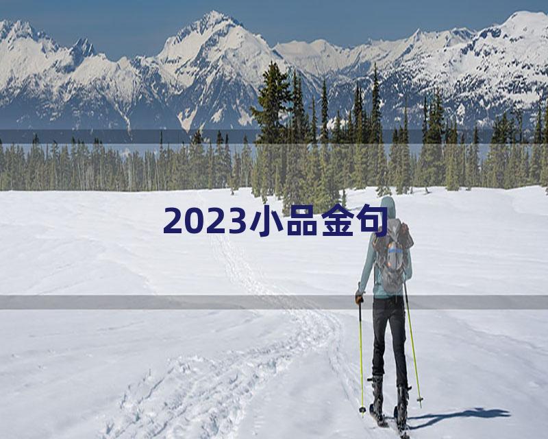 2023小品金句