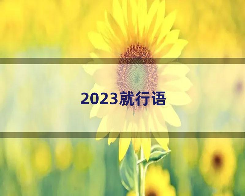 2023就行语