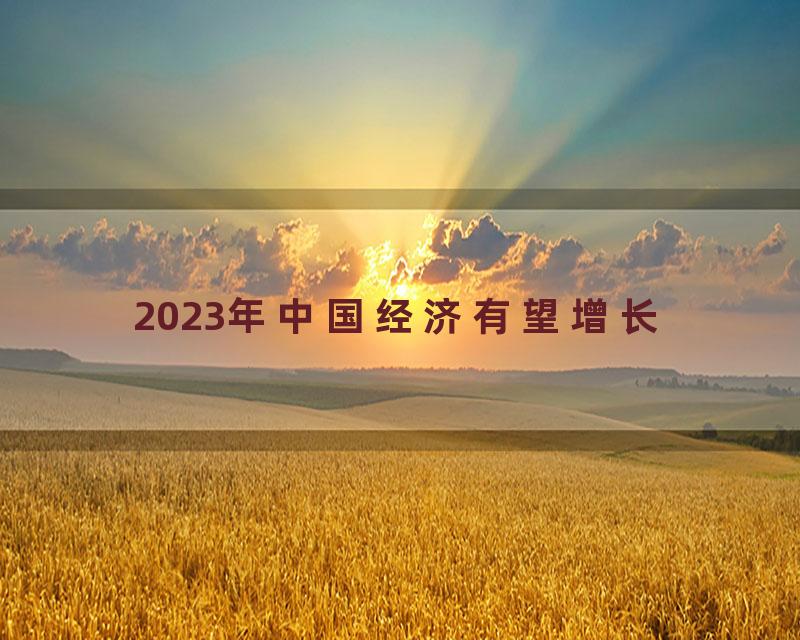 2023年中国经济有望增长