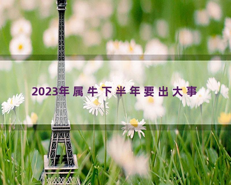 2023年属牛下半年要出大事