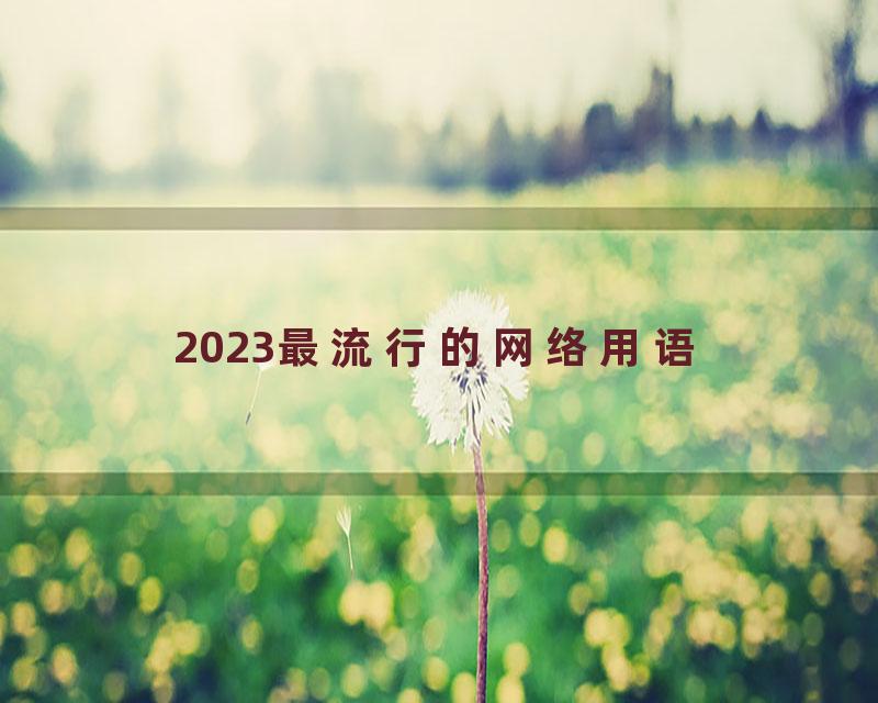 2023最流行的网络用语