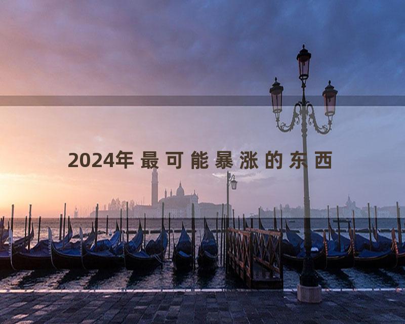 2024年最可能暴涨的东西
