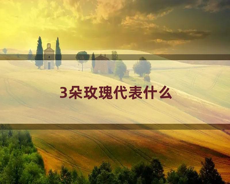 3朵玫瑰代表什么