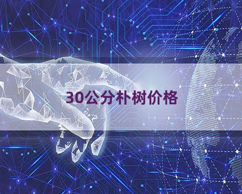 30公分朴树价格