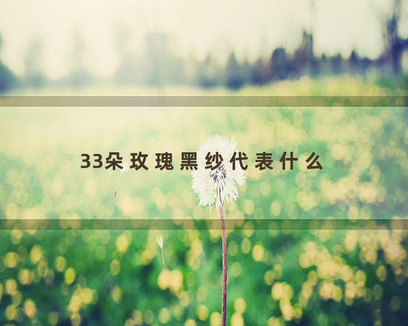 33朵玫瑰黑纱代表什么
