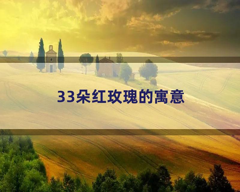 33朵红玫瑰的寓意