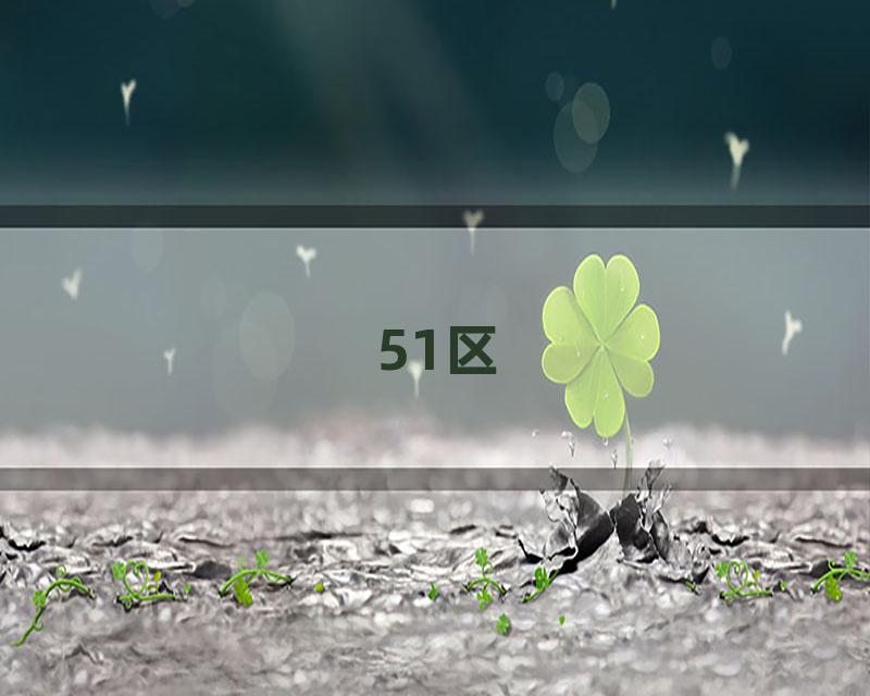 51区