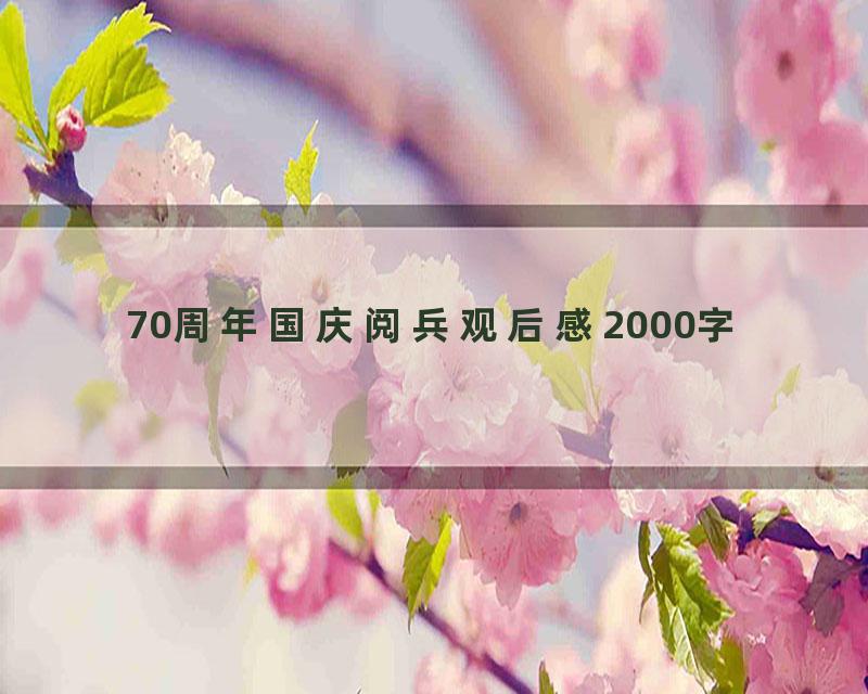 70周年国庆阅兵观后感2000字