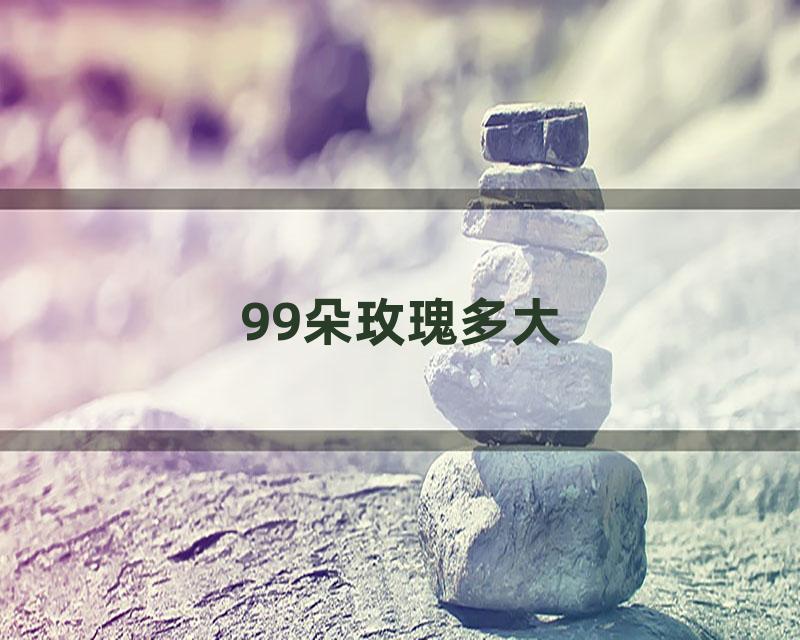 99朵玫瑰多大