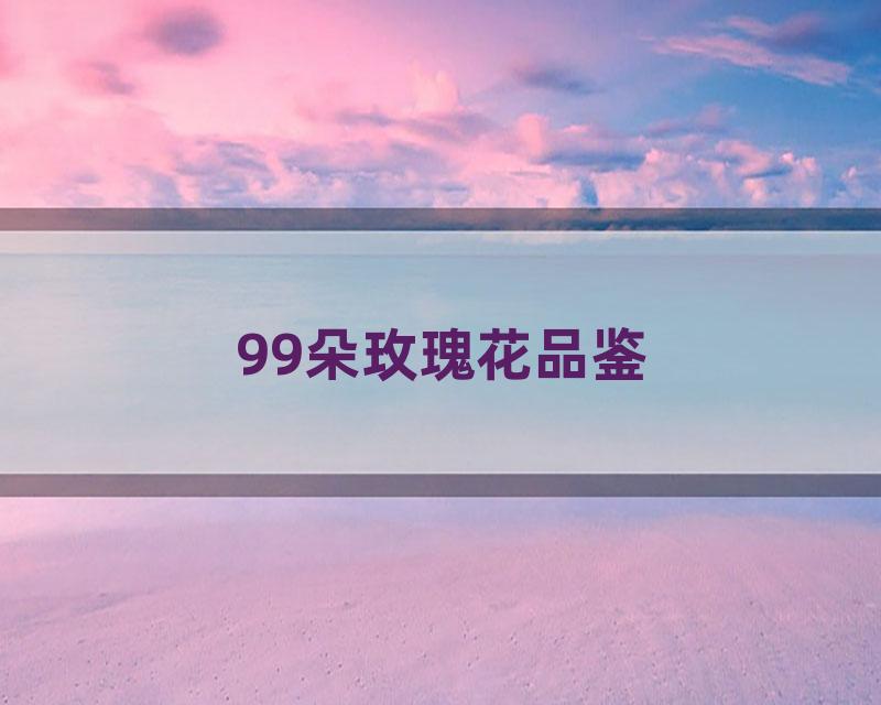99朵玫瑰花品鉴