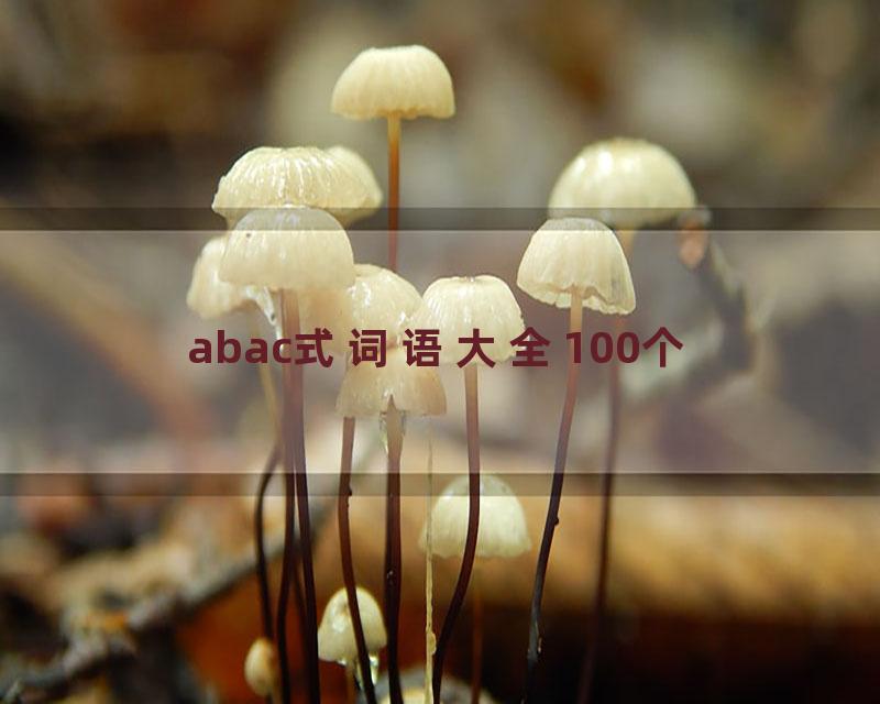 abac式词语大全100个