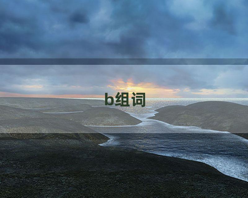 b组词