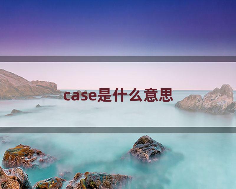 case是什么意思
