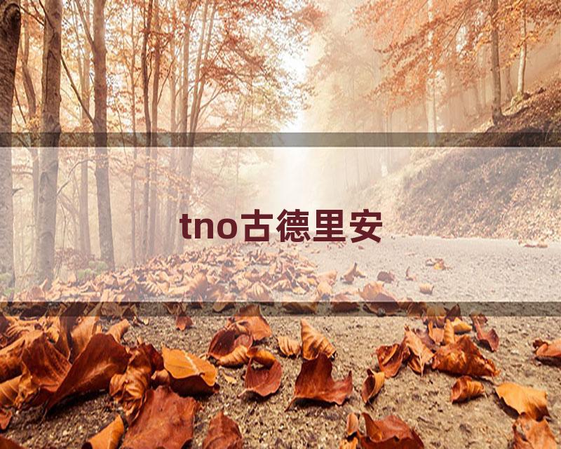 tno古德里安